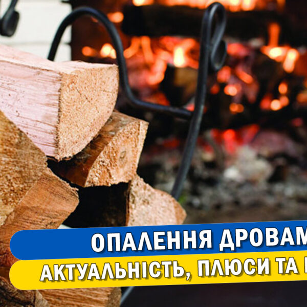 Опалення дровами: актуальність, плюси та мінуси - Стаття